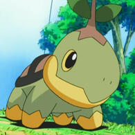 turtwig